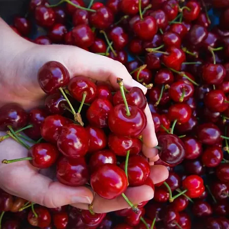 Marianne , Parking Free , 2 Bedroom & 2 Bathroom , Modern & Cozy