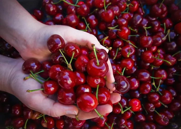 Marianne , Parking Free , 2 Bedroom & 2 Bathroom , Modern & Cozy