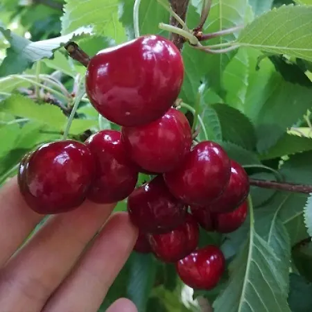 Marianne , Parking Free , 2 Bedroom & 2 Bathroom , Modern & Cozy *